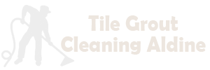 Tile Grout Cleaning Aldine